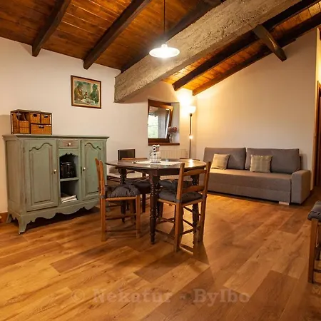 Bidegurutzeta Landetxea منزل ريفي أورنيتا